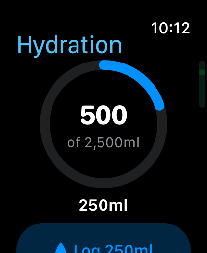 Apple Watch companion app